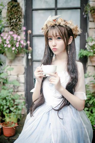 九重紫电视剧免费观看全集在线播放