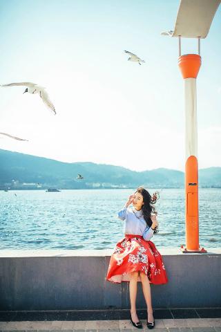 免费观看电视剧全集在线播放高清